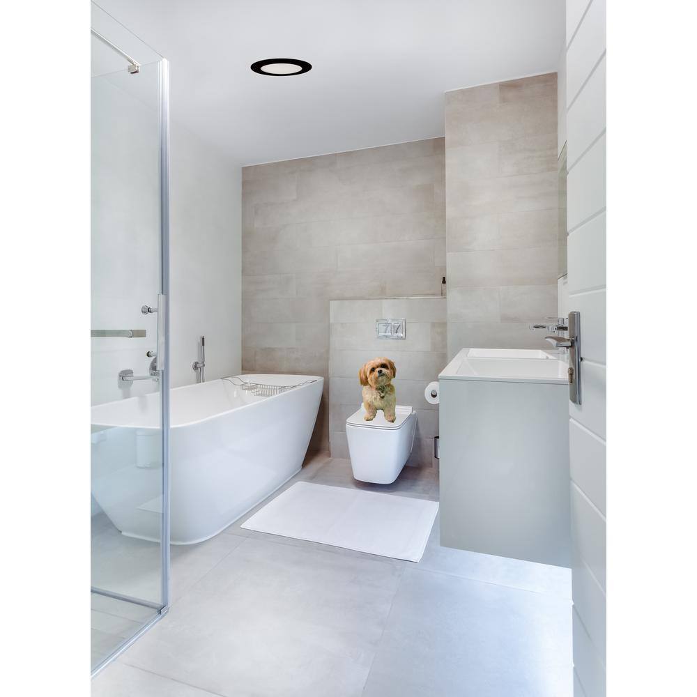 Elegant White 6" Round LED Down Light for Indoor/Outdoor Use