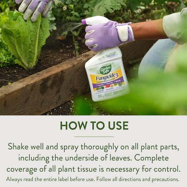 Garden Safe 32 oz. Fungicide Ready-to-Use Spray with Neem Oil Extract  HG-93215