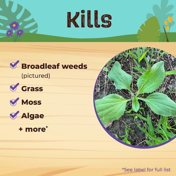 Bonide Captain Jack's Deadweed Brew, 128 oz. Ready-to-Use Power