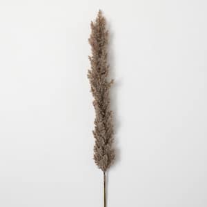 Artificial 43 in. Faux Dried Tall Brown Plume Grass