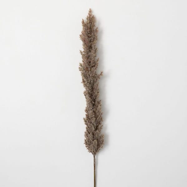 SULLIVANS Artificial 43 in. Faux Dried Tall Brown Plume Grass