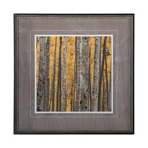 Aspen Trees 3-Framed Nature Art Print (32 in. x 32 in.)