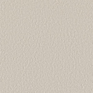 Blissful I - Elated White - 45 oz. SD Polyester Texture Installed Carpet
