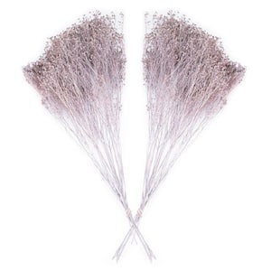 24 in. Orchid Bloom Dried Natural Broom Bloom (2-Pack)