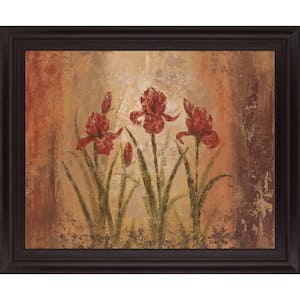 28 in. x 34 in. "The Iris Style" By Vivian Flasch Framed Print Wall Art