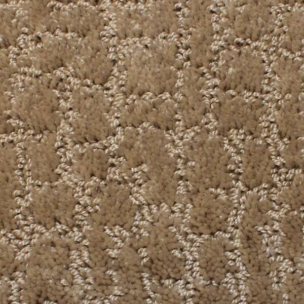 Home Decorators Collection Carpet Sample - Weeping Willow - Color Raffia Pattern 8 in. x 8 in.