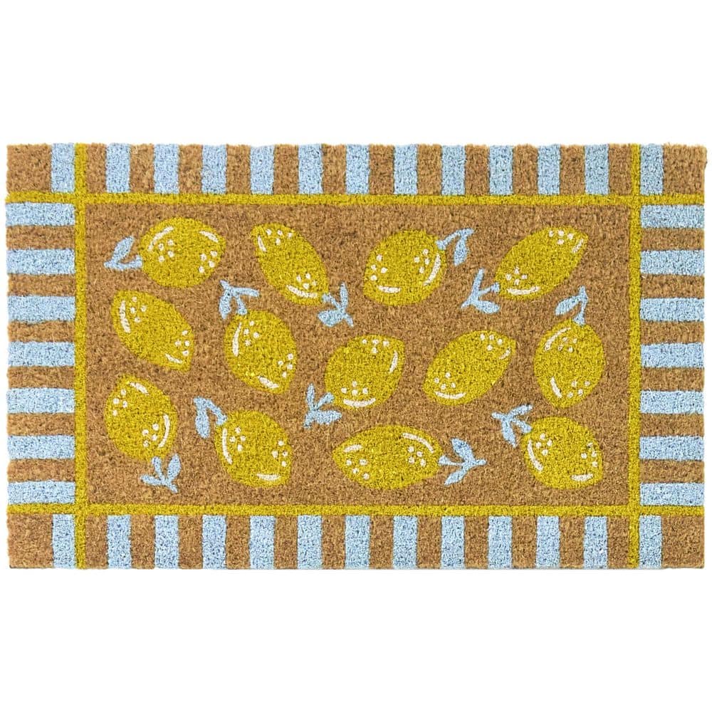 Lemons Yellow/Blue 18 in. x 30 in. Coir Indoor/Outdoor Door Mat price history on PriceWatchPro