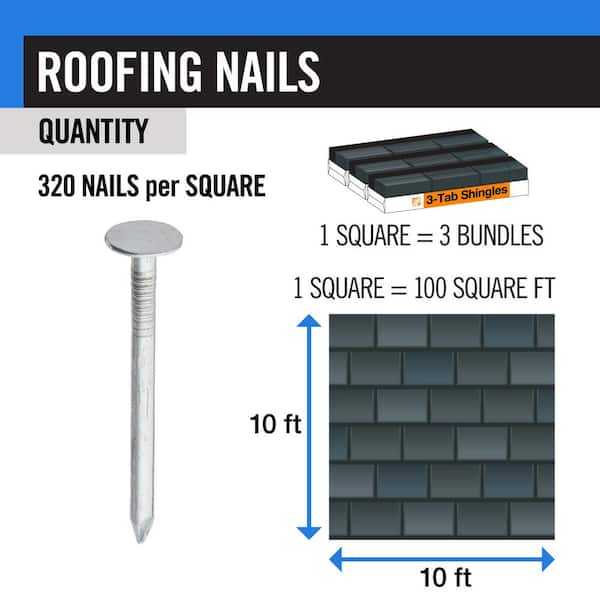 Everbilt 2-1/2 in. x 8D Electro-Galvanized Non-Collated Roofing