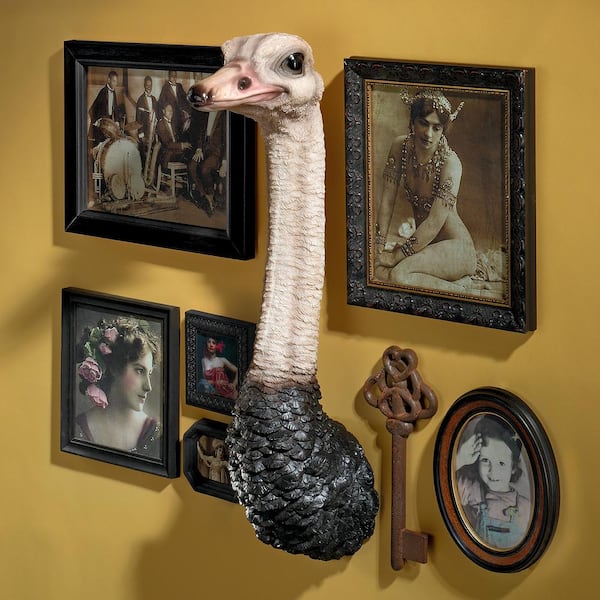 ostrich hanging wall organizer –