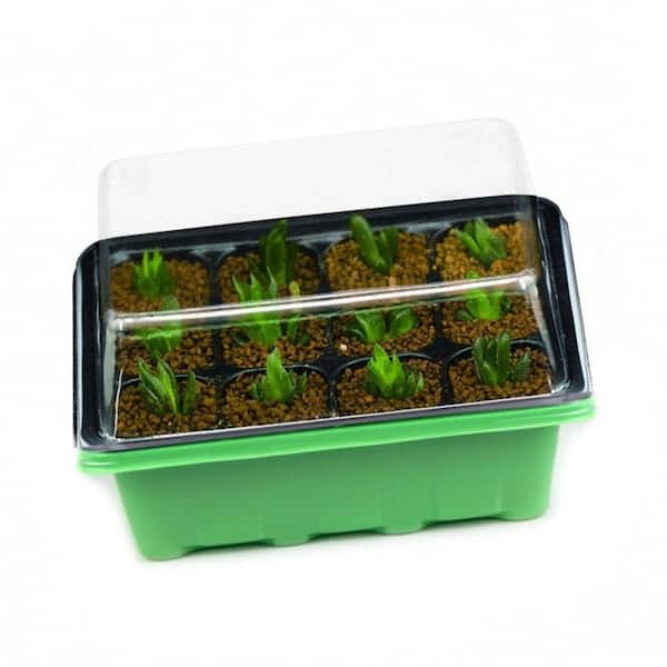 Fun Landscaping KH12SS16 Kitchen Herb Garden Seed Starter Kit