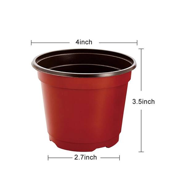 Solo Clear Plastic Cups, 36 ct / 10 oz - Ralphs