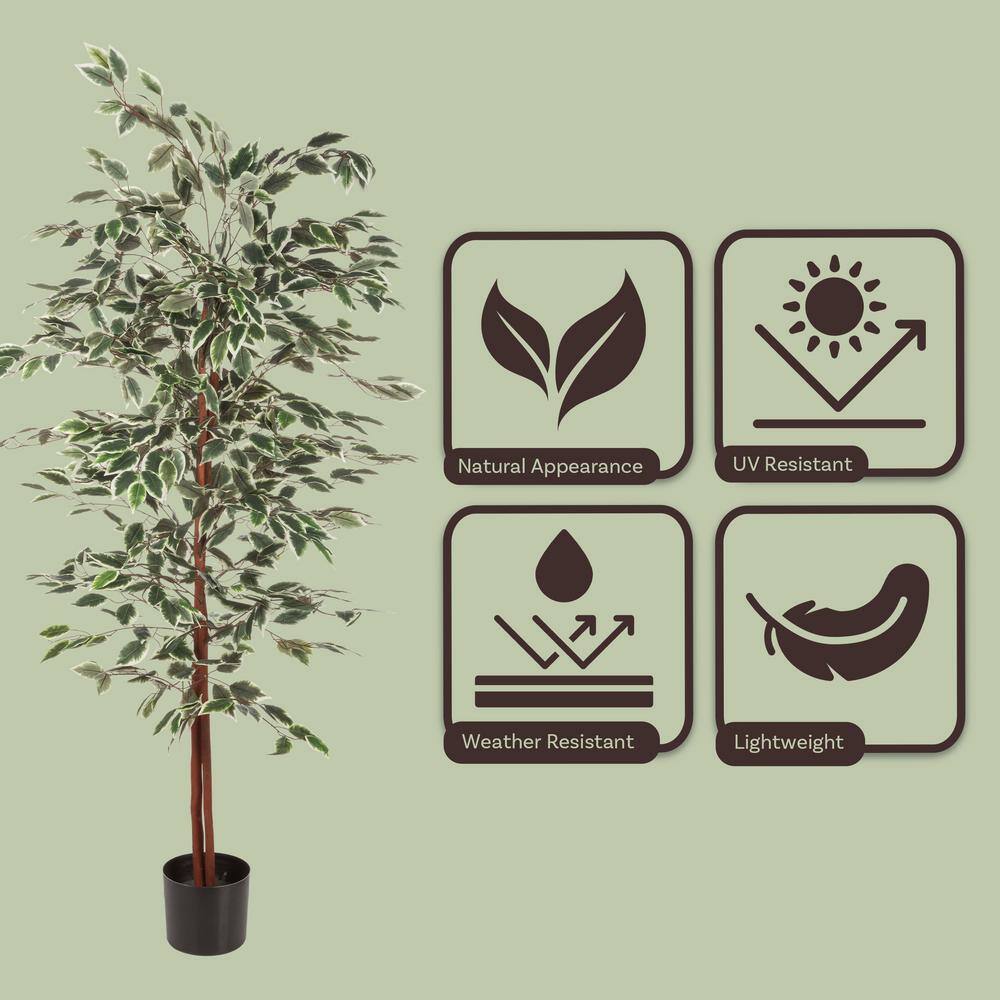 60" Green Plastic Ficus Boxwood Outdoor Floor Plant
