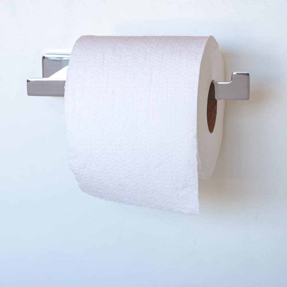 Chicago Chrome Wall Mounted Toilet Paper Holder
