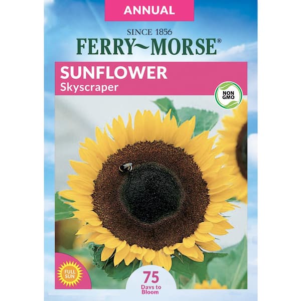 Ferry-Morse Sunflower Skyscraper Flower Seed