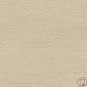 4 ft. x 8 ft. Laminate Sheet in RE-COVER Light Oak Ply with Premium Gloss Line Finish