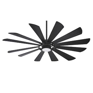 Windmolen 65 in. Integrated LED Indoor/Outdoor Textured Coal Smart Ceiling Fan with Light Kit with Remote Control