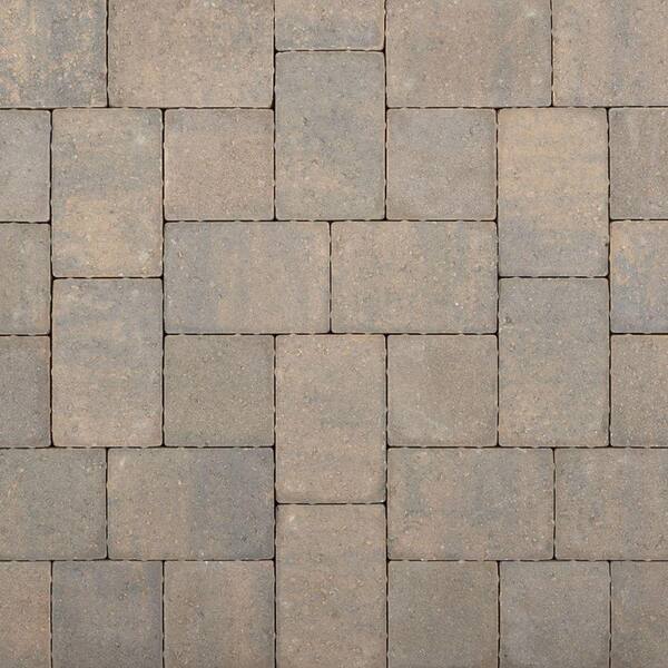 Pavestone Holland 7.87 in. L x 3.94 in. W x 2.36 in. H 60 mm Old Town ...