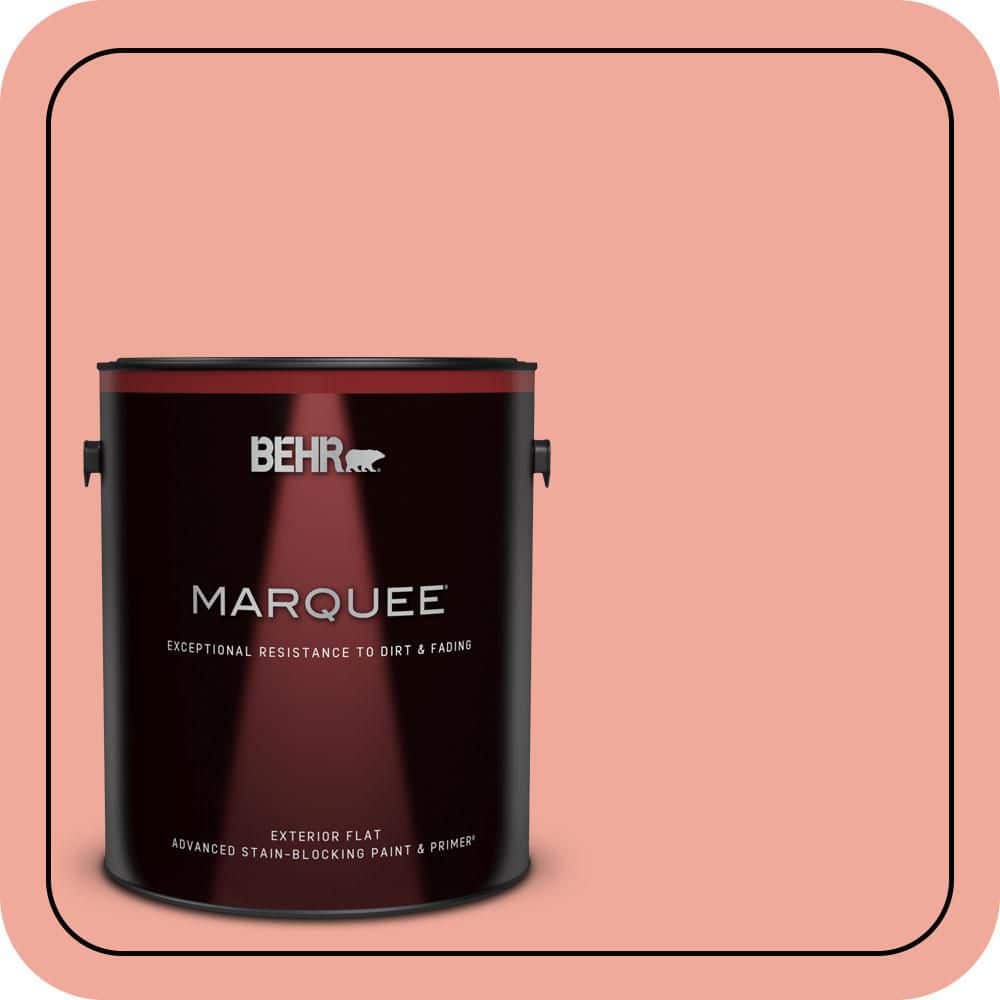 1 gal. #200D-4 Powdered Petals Flat Exterior Paint & Primer price history on PriceWatchPro