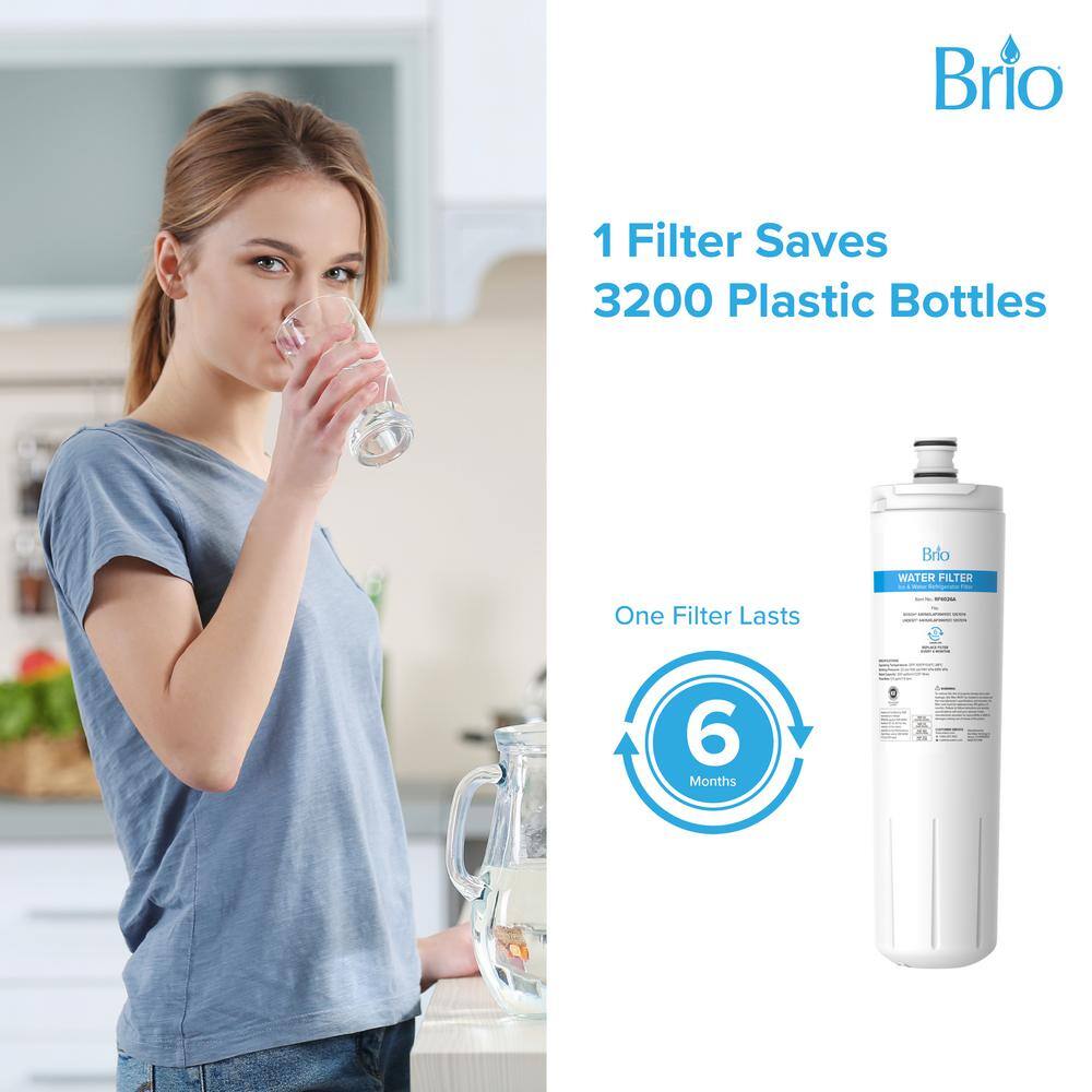 Brio White Carbon Charcoal Refrigerator Replacement Filter