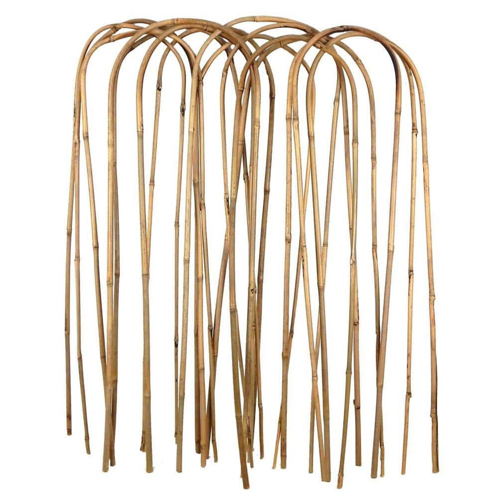 Bamboo Earrings – Axessorie
