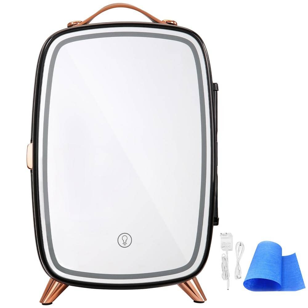 Skin Care Fridge 6L Mini Makeup Refrigerator with Mirror and LED Light AC/DC Cosmetic Cooler Black price history on PriceWatchPro