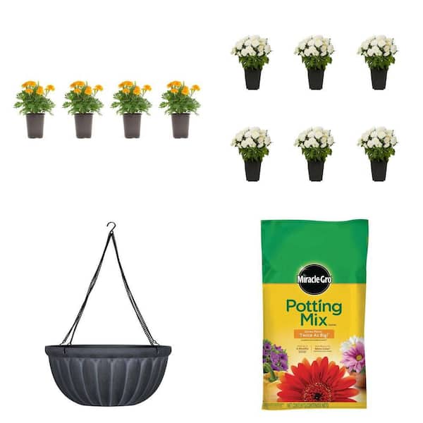 1.38 Pt. Marigold (4-Plants), 1 Pt. Mum (6-Pack), 12 in. Hanging Basket (2-Pack) and 25 Qt. Potting Mix