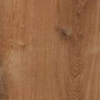 Trail Oak 22 MIL x 8.7 in. W x 48 in. L Click Lock Waterproof Luxury Vinyl Plank Flooring (20.1 sqft/case)