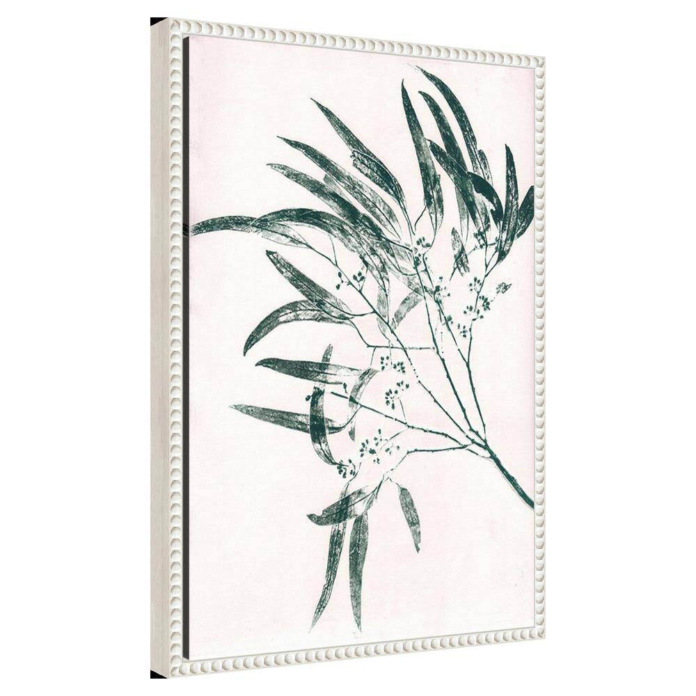 Eucalyptus Green Graphic Art on Canvas with White Frame
