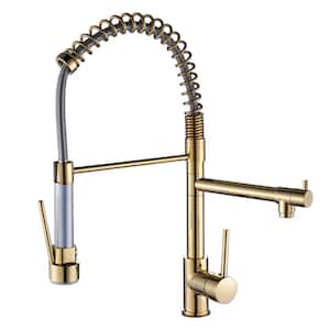 Single Hole Single Handle Pull Down Sprayer Kitchen Faucet, Modern Kitchen Sink Faucet in Polished Gold