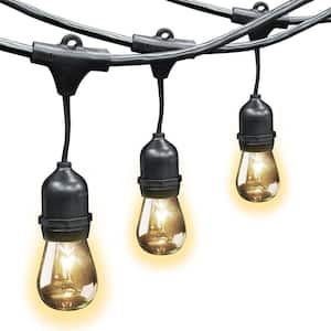 10-Light 30 ft. Indoor/Outdoor Plug-In Incandescent S14 Edison Bulb String Light Set