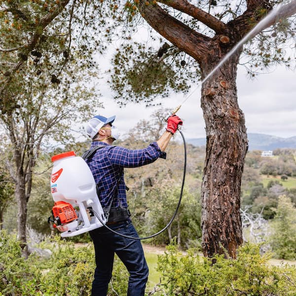 5 Gal. Gas Power Backpack Sprayer with Twin Tip Nozzle for Pesticide, Disinfectant and Fertilizer