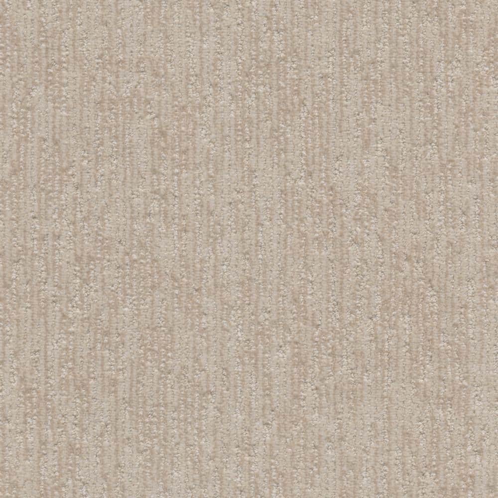 8 in. x 8 in. Pattern Carpet Sample - Mystery - Color Sevier price history on PriceWatchPro
