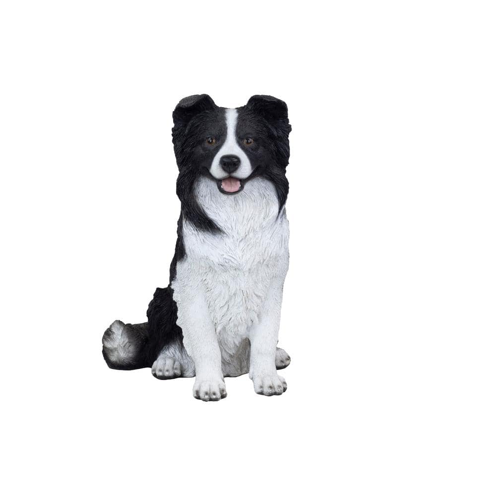 SoReal White & Black Sheepdog price history on PriceWatchPro