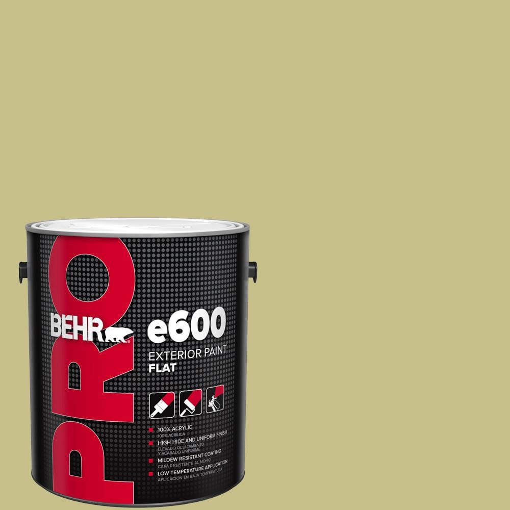 1 gal. #PPU9-11 Wheat Grass Flat Exterior Paint price history on PriceWatchPro