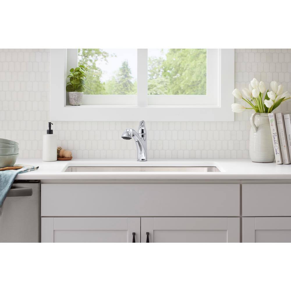Polished Chrome Single-Handle Pull-Out Kitchen Faucet