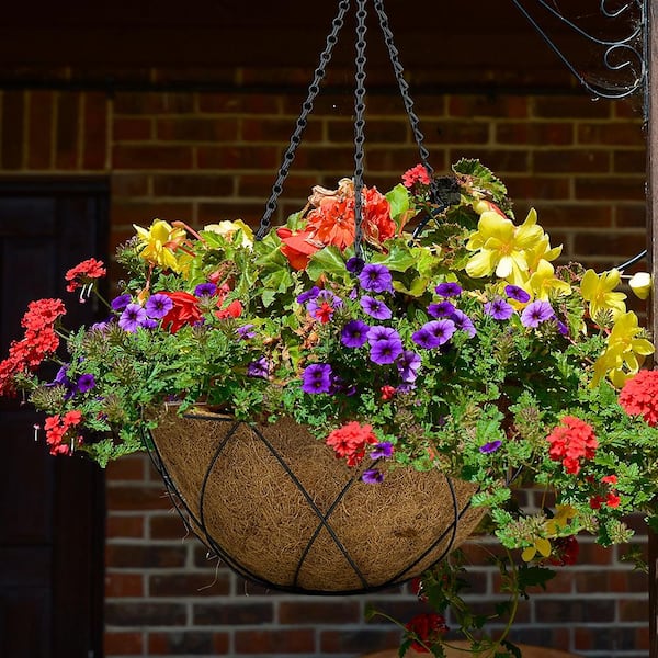 Vigoro HydroSave Metal Premium Hanging Planter Basket with Coco