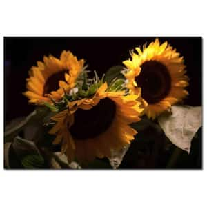 24 in. x 16 in. Sunflower III Canvas Art