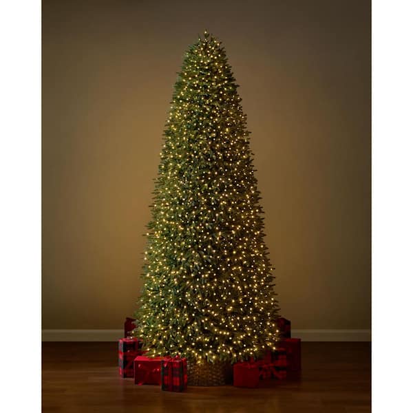 12 ft Jackson Noble Fir LED Pre-Lit Artificial Christmas Tree T38