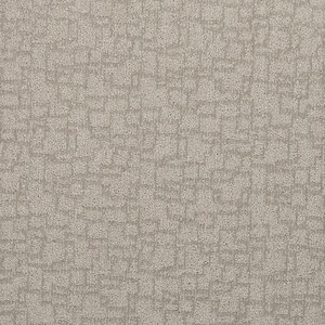 Painted Picture Moonstone Gray 45 oz. Triexta PET Pattern Installed Carpet
