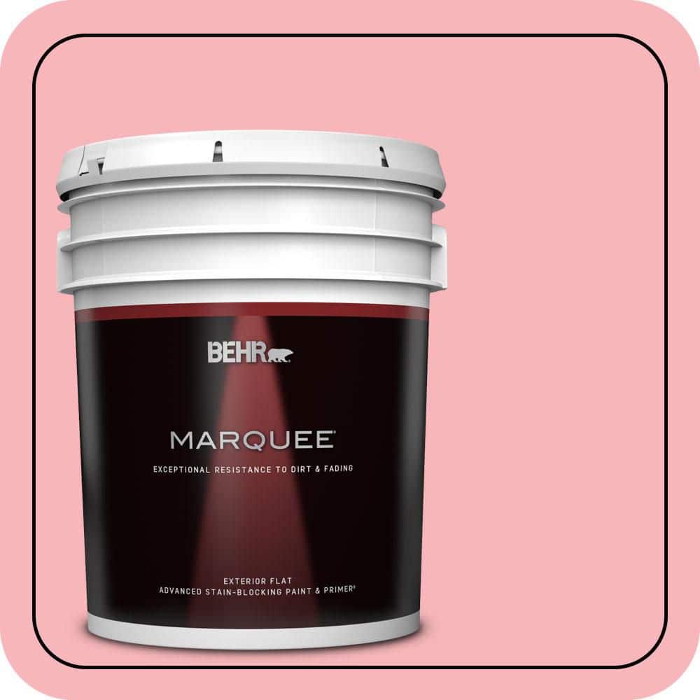 5 gal. #130A-3 Ballerina Pink Flat Exterior Paint & Primer price history on PriceWatchPro