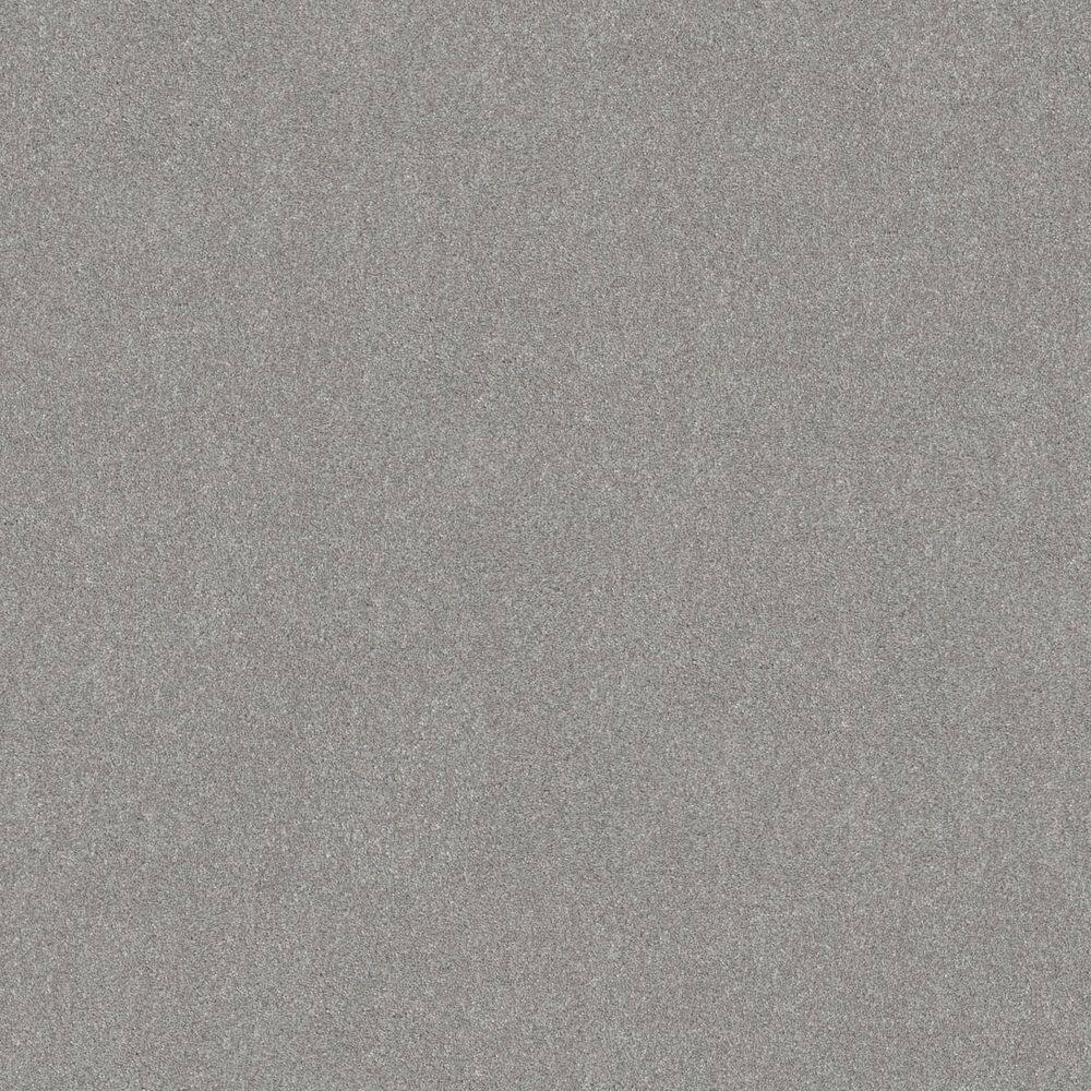 8 in. x 8 in. Texture Carpet Sample - Gifted Moments II - Color Slate price history on PriceWatchPro