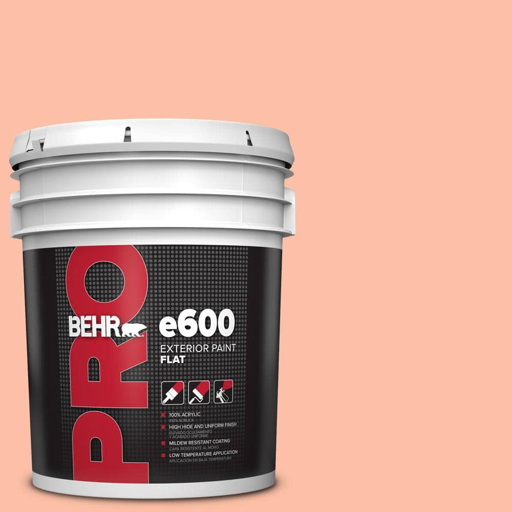 5 gal. #220A-3 Sweet Apricot Flat Exterior Paint price history on PriceWatchPro
