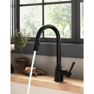 Adler Single-Handle Pull-Down Sprayer Kitchen Faucet with Reflex and Power Clean in Matte Black