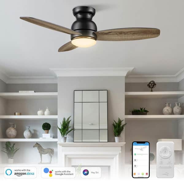 Trendsetter 48 in. Dimmable LED Indoor/Outdoor Black Smart Ceiling Fan with Light and Remote, Works w/Alexa/Google Home