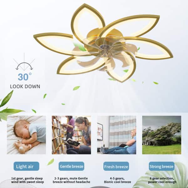 Sunpez 31 in. W Indoor Gold Dimmable Ceiling Fan with Light and Remote Control Flush Mounted Ceiling Fan with Led Lights