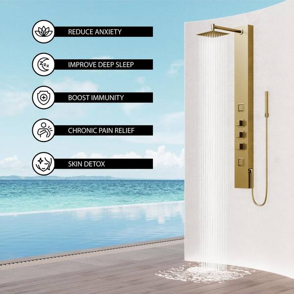 VIGO Rector 55 in. H x 6 in. W 2-Jet Shower Panel System with