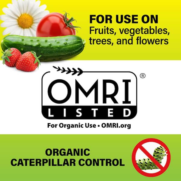 8 oz. Outdoor Organic Liquid Concentrate Thuricide Insect Killer for Caterpillar and Worm Control on Plants and Gardens