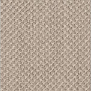 8 in. x 8 in. Pattern Carpet Sample - Exquisite - Color Ecru Lace