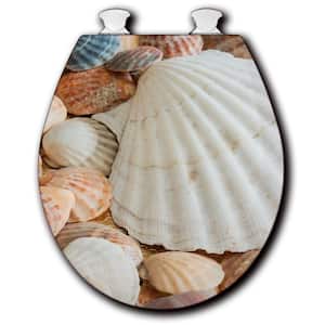 Shells Abound Round Closed Front Toilet Seat in White