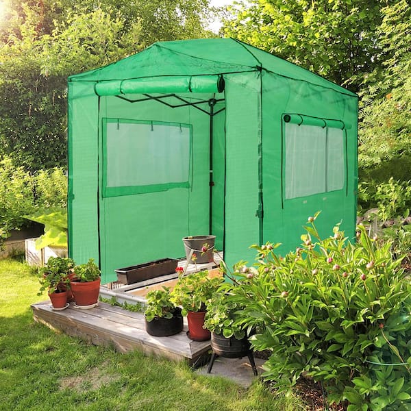 EAGLE PEAK 6 ft. W x 8 ft. D Pop-Up Walk-In Gardening Greenhouse